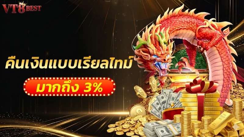 นโยบายการคืนเงิน VT8 มาตรฐานความปลอดภัยและการบริการที่ยุติธรรม